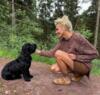 Pullover - Strik - Sommerhus - Brun - Lene Beier X Lind